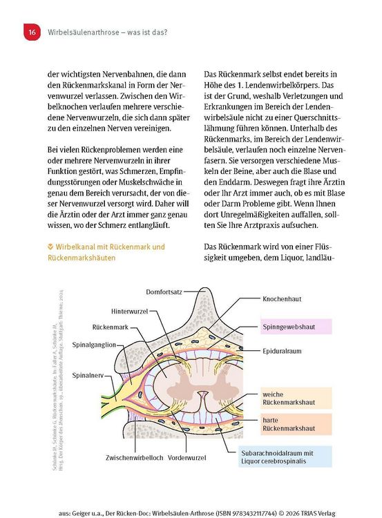 Produktbild: Der R&uuml;cken-Doc: Wirbels&auml;ulen-Arthrose