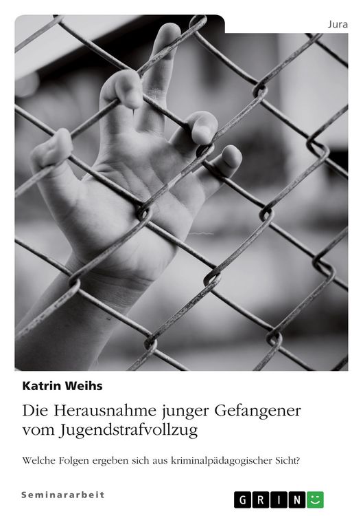 Produktbild: Die Herausnahme junger Gefangener vom Jugendstrafvollzug. Welche Folgen ergeben sich aus kriminalp&auml;dagogischer Sicht?