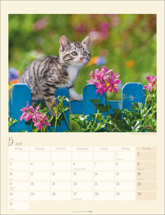 Produktbild: Katzen auf dem Lande Kalender 2027