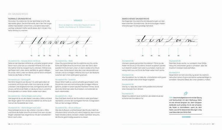 Kalligrafie – Alphabete für jeden Anlass
