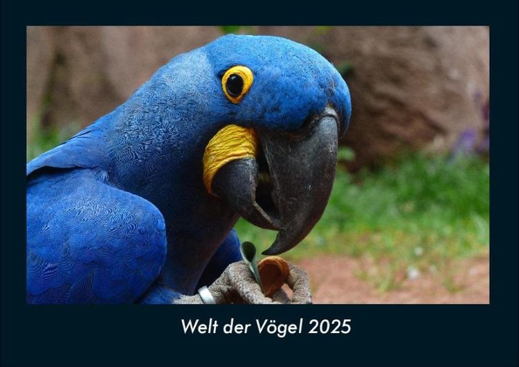 Produktbild: Welt der Vögel 2025 Fotokalender DIN A4