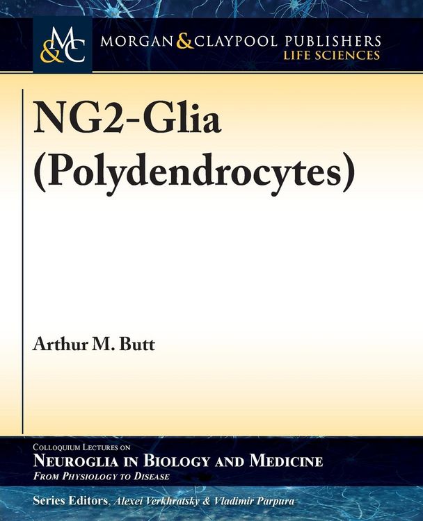 Produktbild: NG2-Glia (Polydendrocytes)