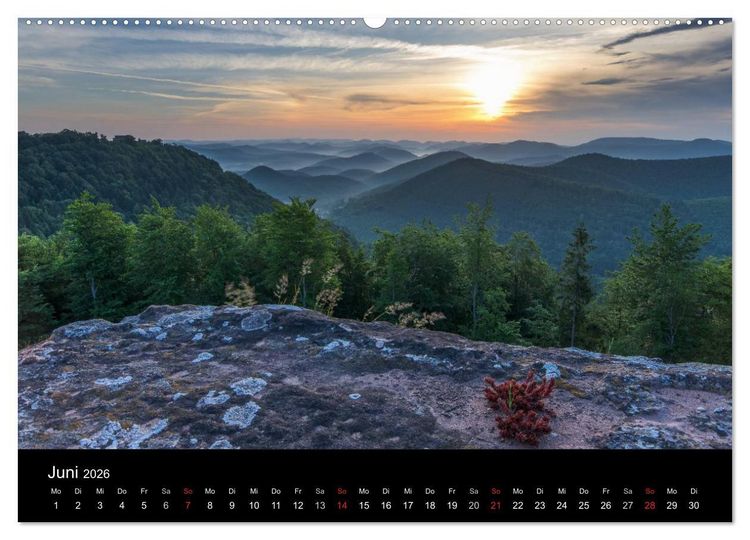 Produktbild: Mystischer Pf&auml;lzer Wald (hochwertiger Premium Wandkalender 2026 DIN A2 quer), Kunstdruck in Hochglanz