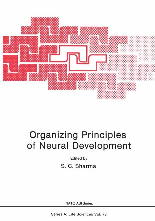Produktbild: Organizing Principles of Neural Development