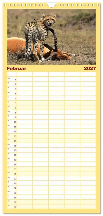 Produktbild: Familienplaner 2027 - Geparden - Begegnungen in Afrika mit 5 Spalten (Wandkalender, 21 x 45 cm) CALVENDO