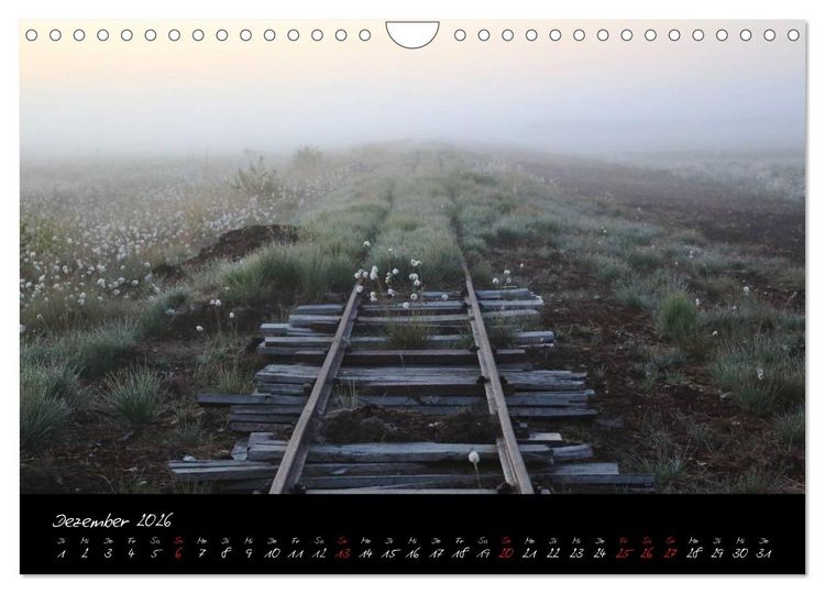 Produktbild: Im Goldenstedter Moor (Wandkalender 2026 DIN A4 quer), CALVENDO Monatskalender