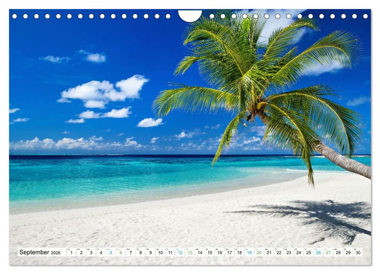 Produktbild: Sehnsucht Strandparadies (Wandkalender 2026 DIN A4 quer), CALVENDO Monatskalender