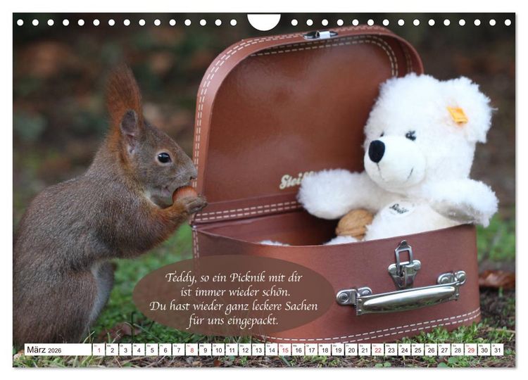 Produktbild: Eichh&ouml;rnchen - Lustige Kurzgeschichten mit den quirligen Wildtieren (Wandkalender 2026 DIN A4 quer), CALVENDO Monatskalender