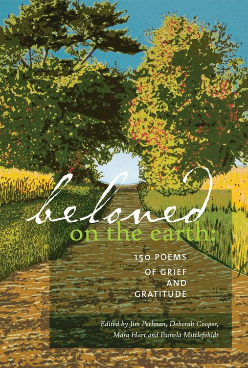 Produktbild: Beloved on the Earth