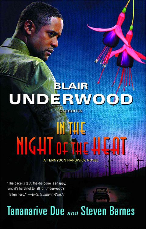 Produktbild: In the Night of the Heat