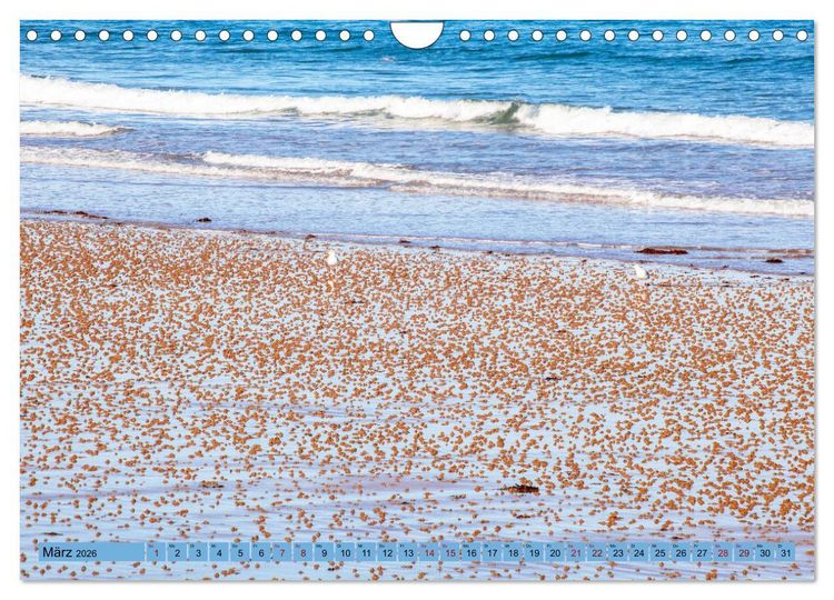 Produktbild: Bretagne und Normandie - Vor der Flut beobachten und entdecken (Wandkalender 2026 DIN A4 quer), CALVENDO Monatskalender