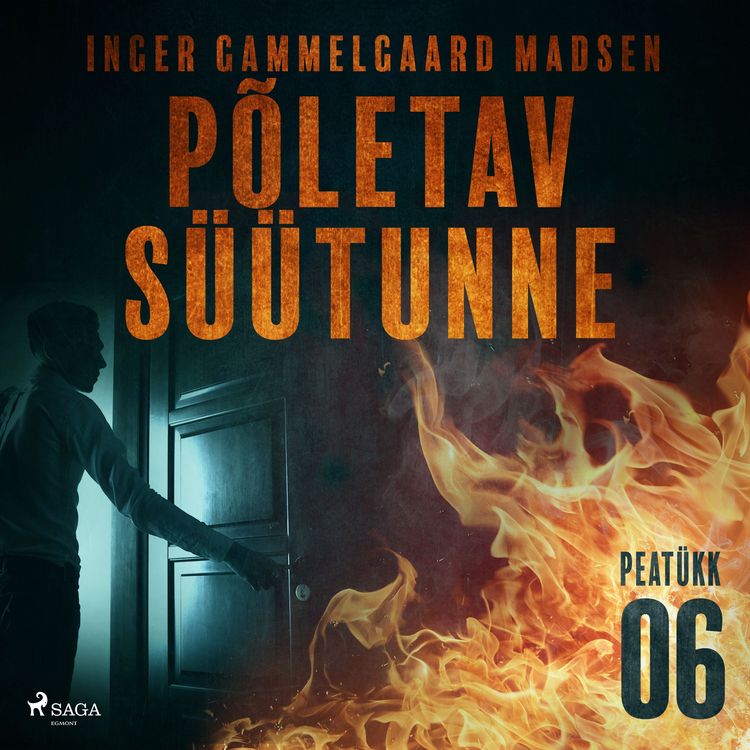 Produktbild: P&otilde;letav s&uuml;&uuml;tunne &ndash; 6. peat&uuml;kk