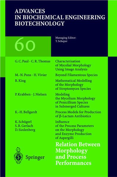 Produktbild: Relation Between Morphology and Process Performances