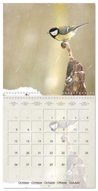 Produktbild: Le jardin des m&eacute;sanges (Calendrier mural carr&eacute; 2026 30x30 cm) Calendrier double avec une page pour vos prises de notes