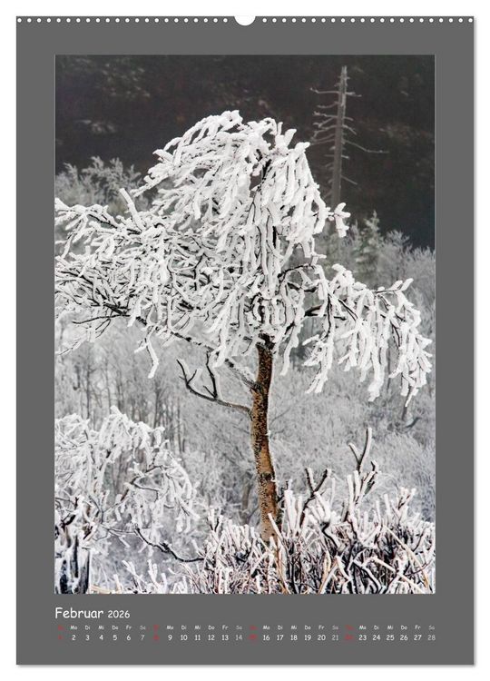 Produktbild: B&Auml;UME (hochwertiger Premium Wandkalender 2026 DIN A2 hoch), Kunstdruck in Hochglanz