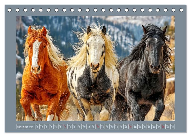 Produktbild: Mustangs. Pferde in ihrer wildesten Sch&ouml;nheit (Tischkalender 2027 DIN A5 quer), CALVENDO Monatskalender