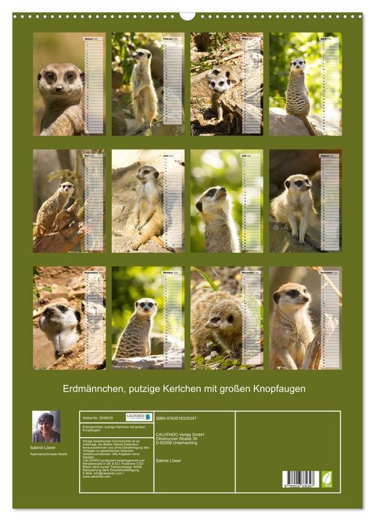 Produktbild: Erdm&auml;nnchen, putzige Kerlchen mit gro&szlig;en Knopfaugen (Wandkalender 2026 DIN A2 hoch), CALVENDO Monatskalender