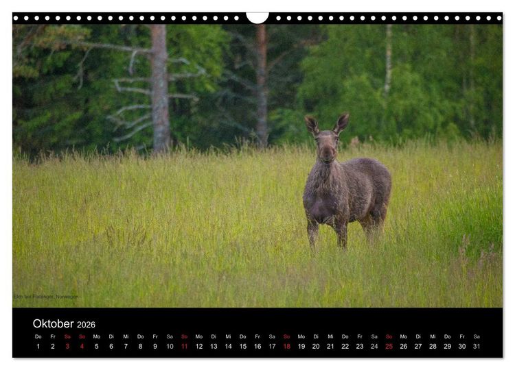 Produktbild: Naturwucht Skandinavien (Wandkalender 2026 DIN A3 quer), CALVENDO Monatskalender