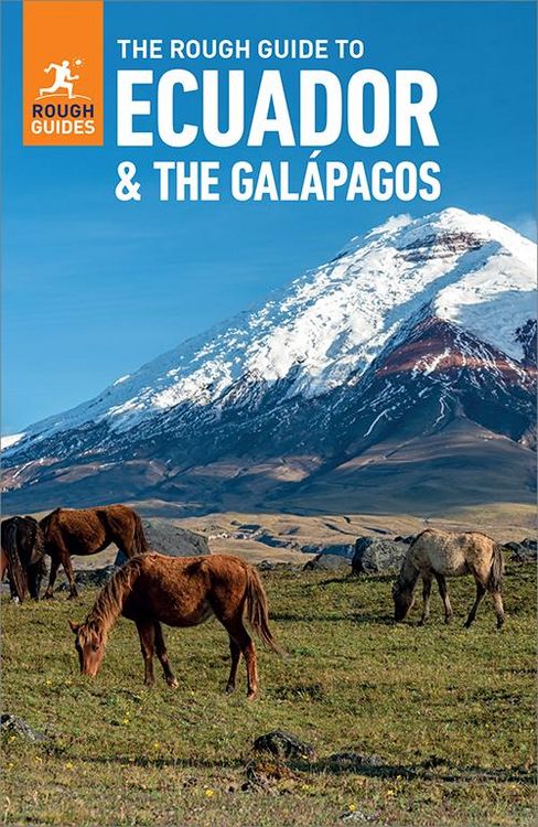 Produktbild: The Rough Guide to Ecuador and the Galapagos: Travel Guide eBook