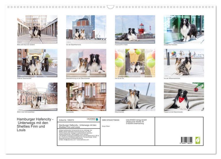Produktbild: Hamburger Hafencity - Unterwegs mit den Shelties Finn und Louis (Wandkalender 2026 DIN A2 quer), CALVENDO Monatskalender