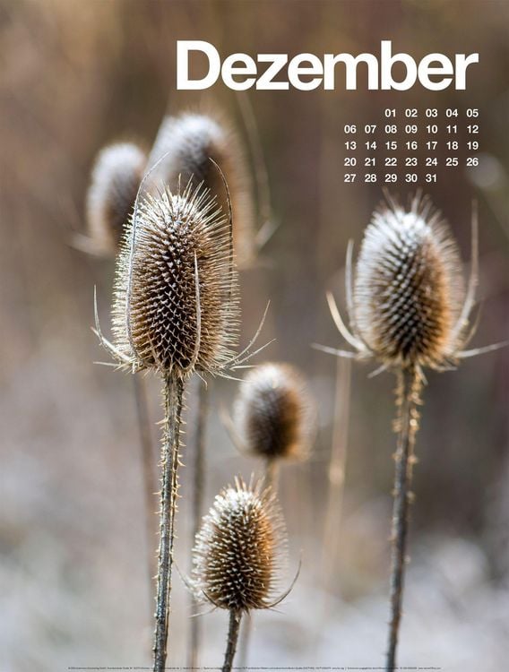 Produktbild: Fr&uuml;hling, Sommer, Herbst & Winter Kalender 2027