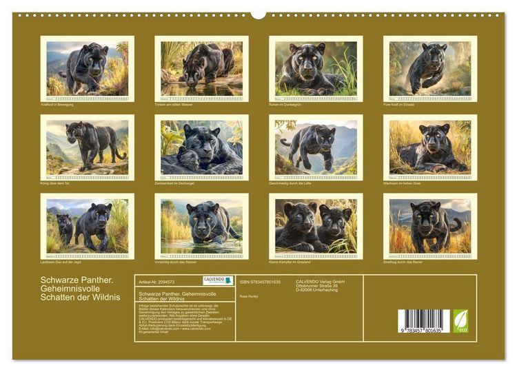 Produktbild: Schwarze Panther. Geheimnisvolle Schatten der Wildnis (hochwertiger Premium Wandkalender 2026 DIN A2 quer), Kunstdruck in Hochglanz