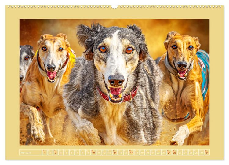 Produktbild: Windhunde. Seelenfl&uuml;sterer zwischen Anmut, Tempo und Stille (hochwertiger Premium Wandkalender 2026 DIN A2 quer), Kunstdruck in Hochglanz