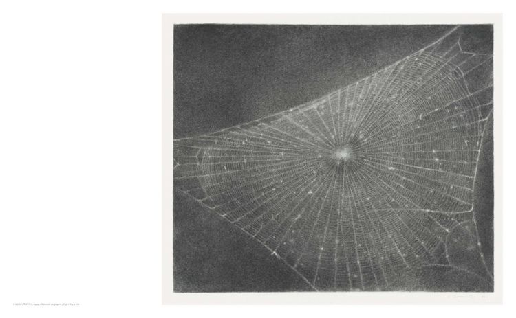 Produktbild: Vija Celmins