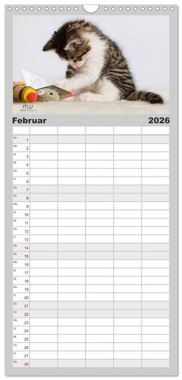 Produktbild: Familienplaner 2026 - Zauberhafte K&auml;tzchen mit 5 Spalten (Wandkalender, 21 x 45 cm) CALVENDO