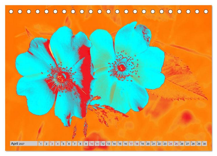 Produktbild: Blumen Pop-Art (Tischkalender 2027 DIN A5 quer), CALVENDO Monatskalender