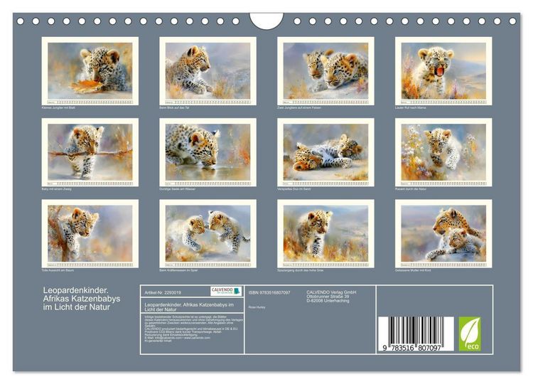 Produktbild: Leopardenkinder. Afrikas Katzenbabys im Licht der Natur (Wandkalender 2027 DIN A4 quer), CALVENDO Monatskalender