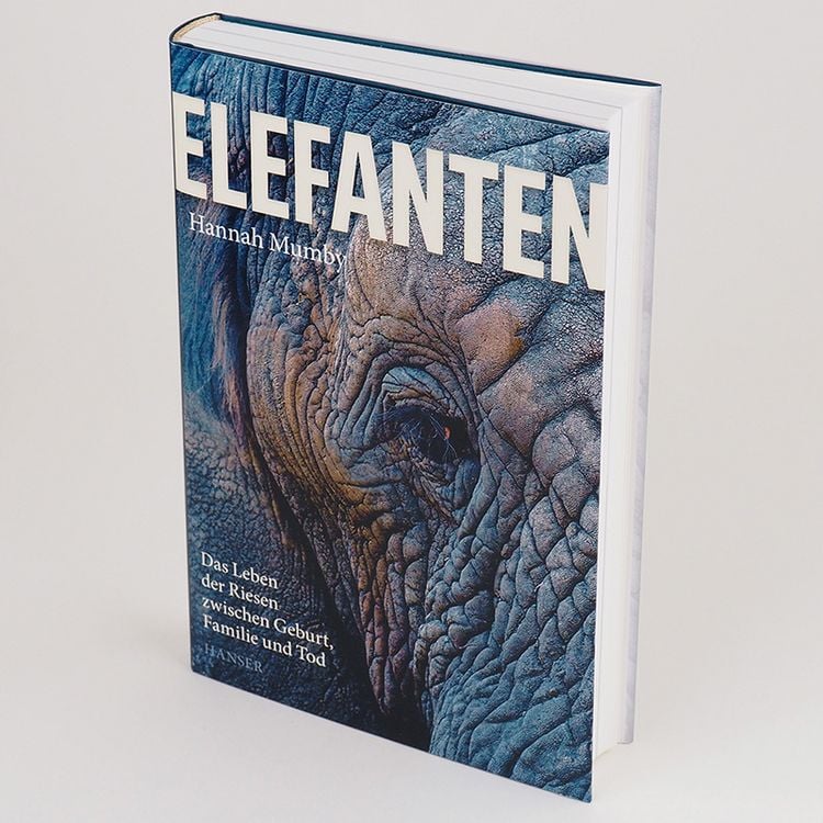 Produktbild: Elefanten