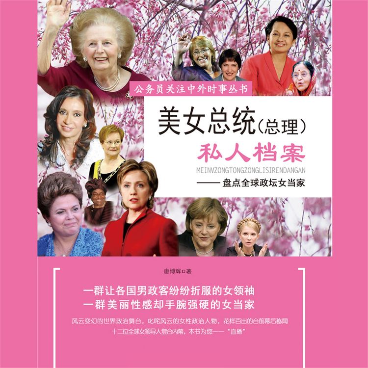 Produktbild: 美女总统（总理）私人档案