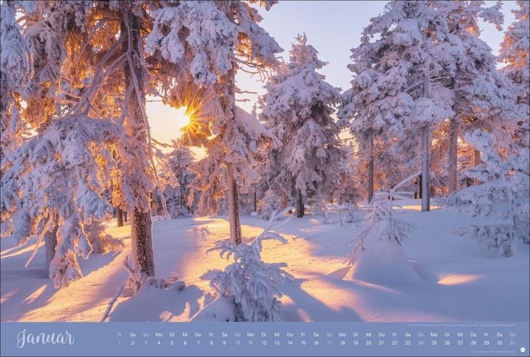 Produktbild: Zauberw&auml;lder Edition Kalender 2027
