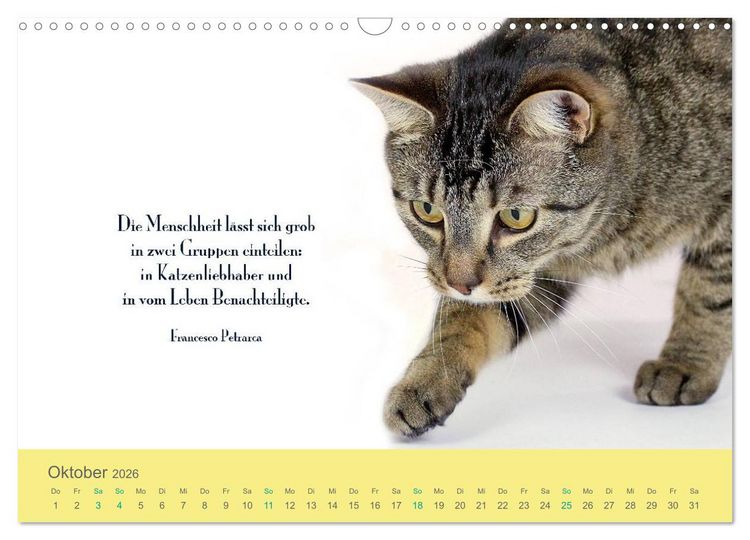 Produktbild: Katzenzitate 2026 (Wandkalender 2026 DIN A3 quer), CALVENDO Monatskalender
