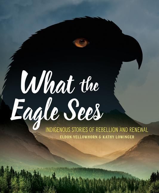 Produktbild: What the Eagle Sees