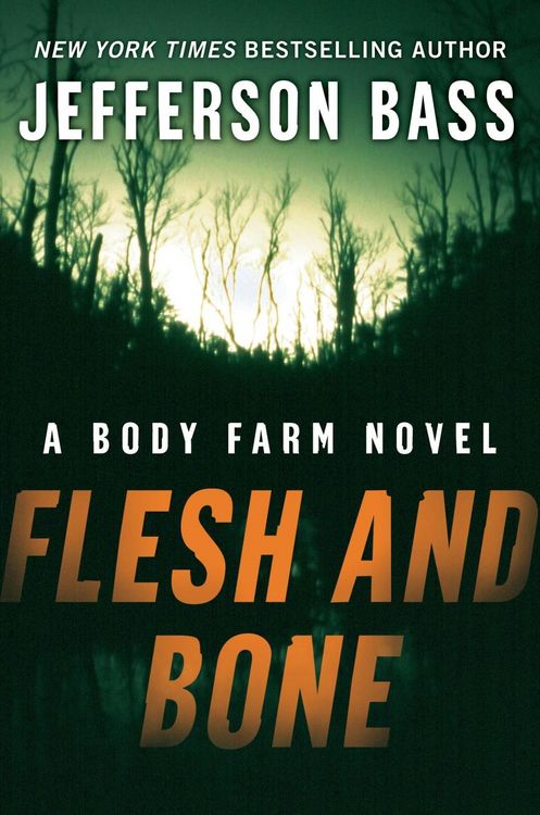 Produktbild: Flesh and Bone