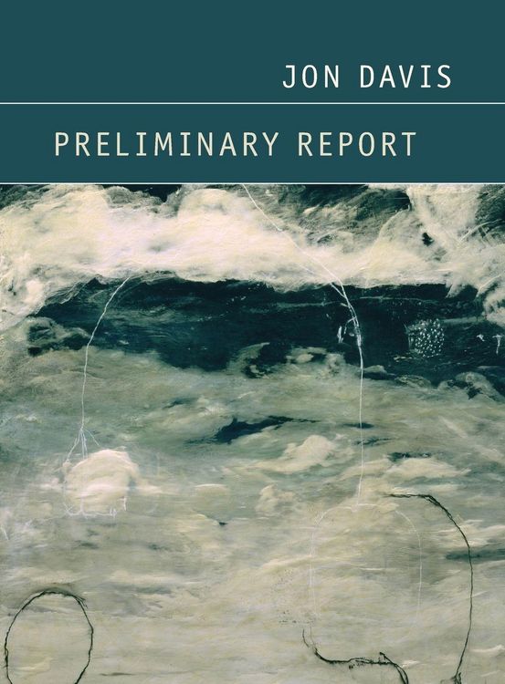 Produktbild: Preliminary Report