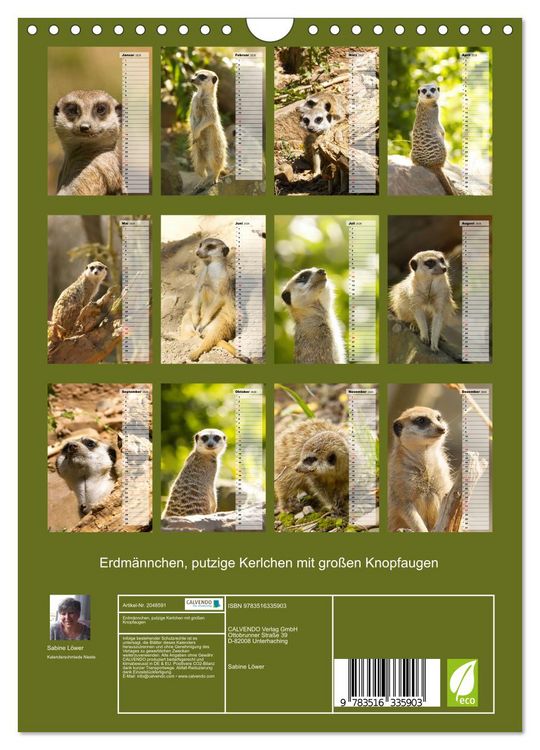 Produktbild: Erdm&auml;nnchen, putzige Kerlchen mit gro&szlig;en Knopfaugen (Wandkalender 2026 DIN A4 hoch), CALVENDO Monatskalender
