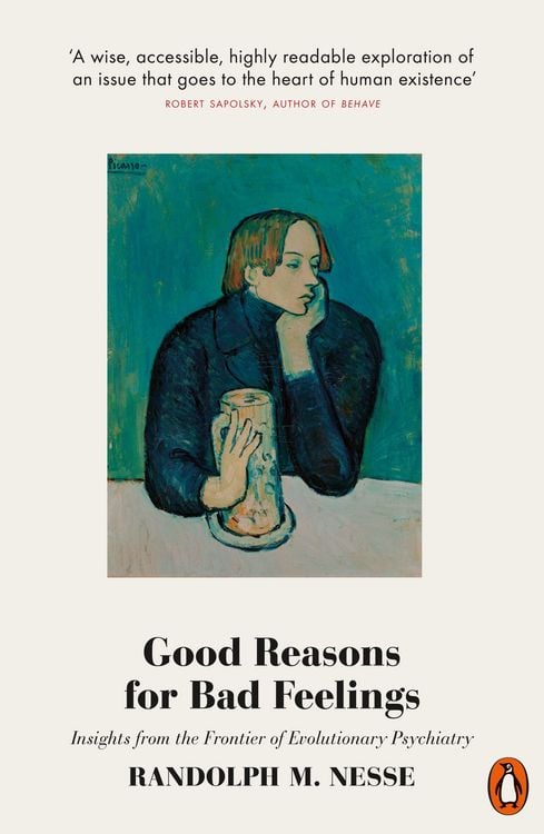 Produktbild: Good Reasons for Bad Feelings