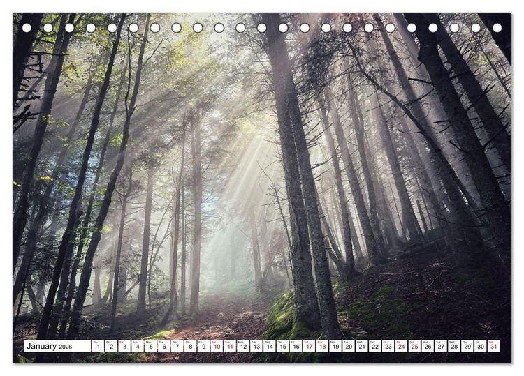 Produktbild: Hiking the GR 10 A long distance trail through the French Pyrenees (Desk Calendar 2026 DIN A5 landscape), CALVENDO 12 Month DeskCalendar