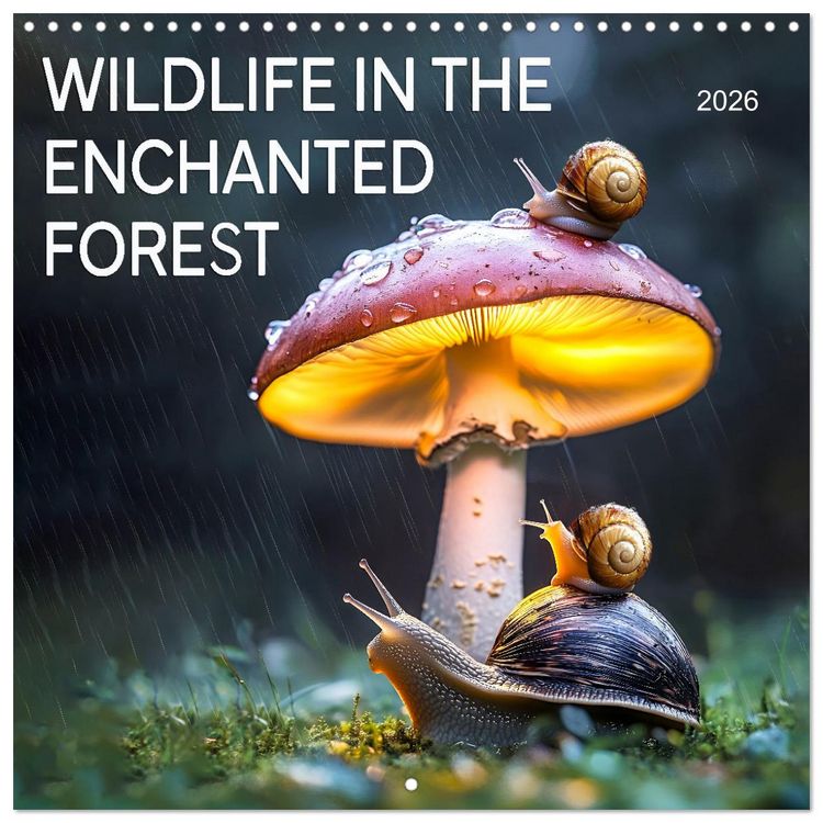 Produktbild: WILDLIFE IN THE ENCHANTED FOREST (Wall Calendar 2026 12 &times; 12 Inch) CALVENDO 12 Month Wall Calendar