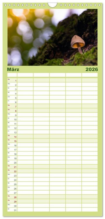 Produktbild: Familienplaner 2026 - Pilzmagie mit 5 Spalten (Wandkalender, 21 x 45 cm) CALVENDO