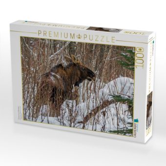 Produktbild: CALVENDO Puzzle Fressen um zu &Uuml;berleben | 1000 Teile Lege-Gr&ouml;&szlig;e 64x48cm Foto-Puzzle f&uuml;r gl&uuml;ckliche Stunden