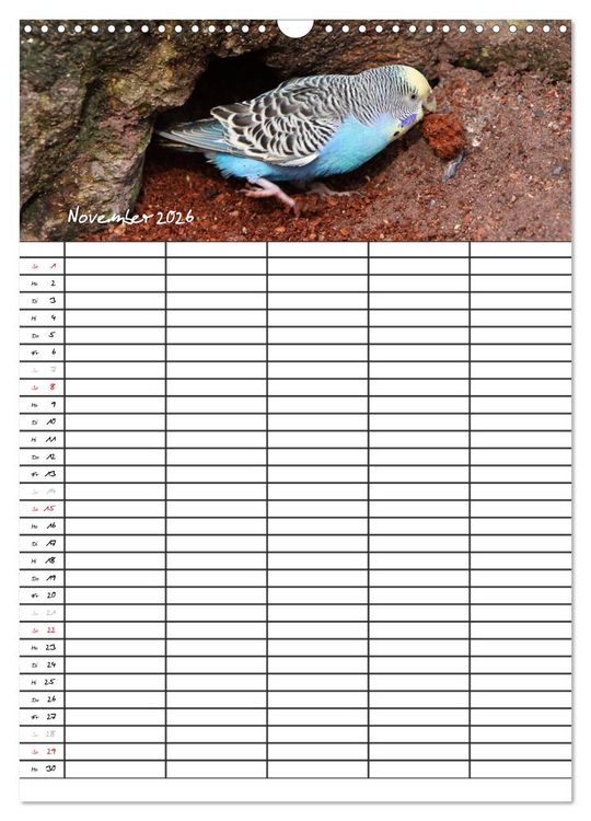 Produktbild: Wellensittiche (Wandkalender 2026 DIN A3 hoch), CALVENDO Monatskalender