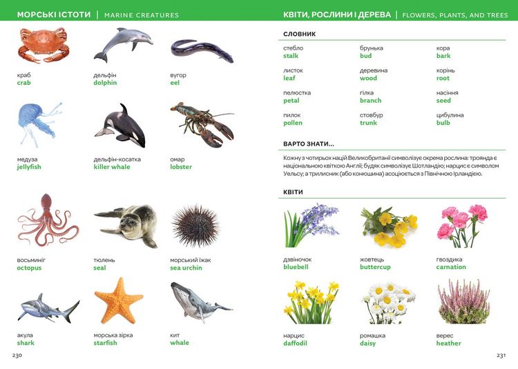 Produktbild: UKRAINIAN ENG_VISUAL DICT PB