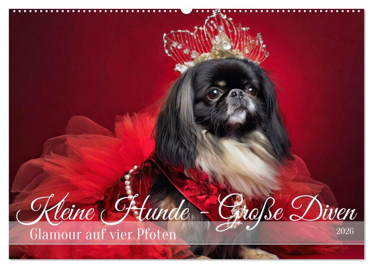 Produktbild: Kleine Hunde - Gro&szlig;e Diven (Wandkalender 2026 DIN A2 quer), CALVENDO Monatskalender