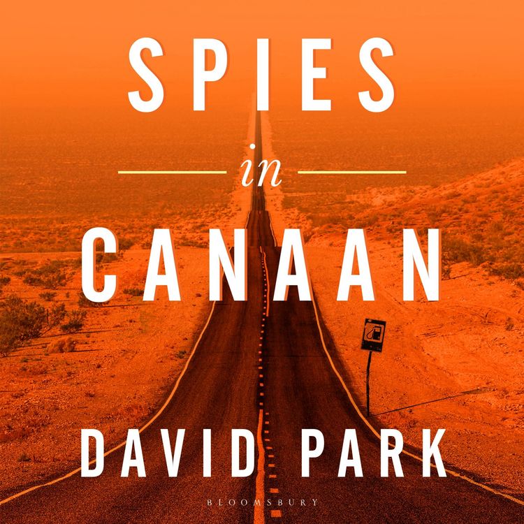 Produktbild: Spies in Canaan