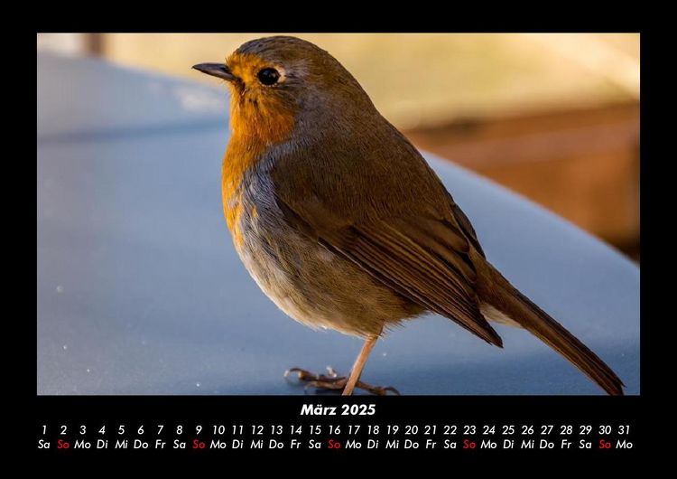 Produktbild: Der Tierkalender 2025 Fotokalender DIN A3