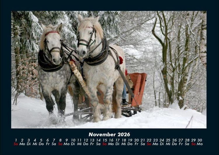 Produktbild: Pferdegefl&uuml;ster 2026 Fotokalender DIN A4